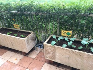 ～変わる季節～ 写真