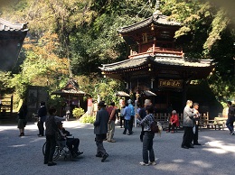 秋の一泊旅行　パート５　2日目 写真