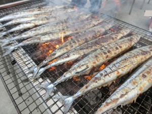 さんま炭火焼き！！ 写真