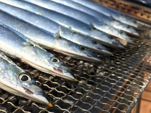 第２回　炭焼さんま祭り 写真