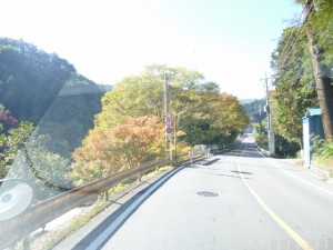 紅葉ドライブ＆食事会 写真