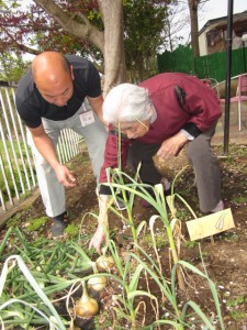 八王子ナポリタン 写真