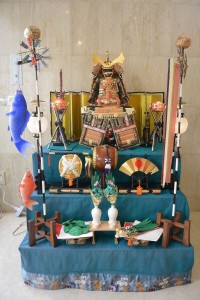 五月・皐月 写真