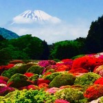 !cid_BC925409-A6ED-439E-85F8-6E44B5BE9951