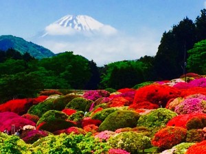 日帰り旅行 写真