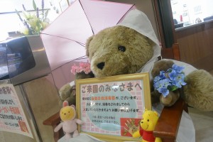 梅雨なので･･･ 写真