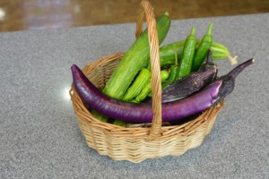 またまた収穫！ 写真