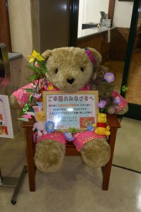 7月になりました 写真