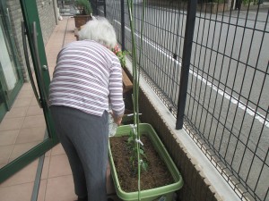 園芸農園始めました！！ 写真