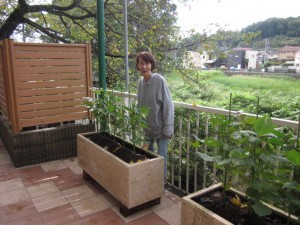 ～小豆の観察～ 写真