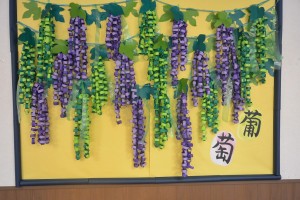 ９月・・・長月 写真