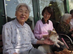 アニマルセラピー 写真