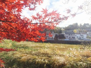 紅葉狩り？ 写真