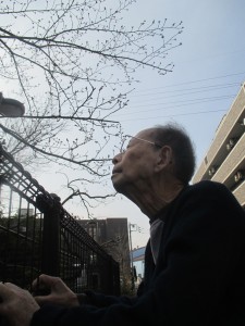 お散歩日和 写真
