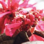 !cid_07AA9448-F73E-4CDA-BF37-4D8715F6091F