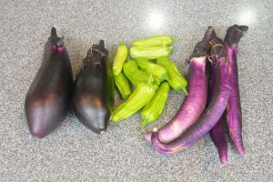 青木ファーム、開花！ 写真