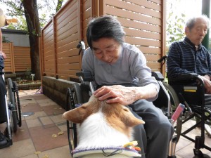 アニマルセラピー 写真