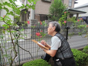 絵手紙クラブ 写真