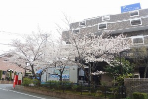 訪問美容室 写真