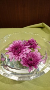 重陽の節句 写真