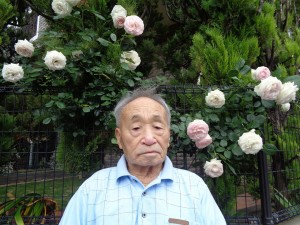 お散歩クラブ 写真