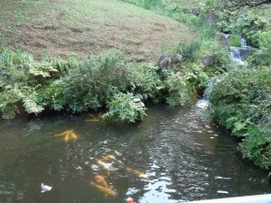 食事会開催！ 写真