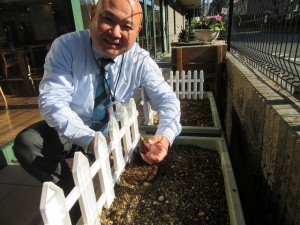 業務部樋口の園芸日誌 写真