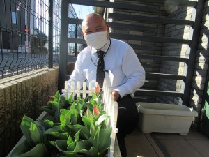 業務部樋口の園芸日誌 写真