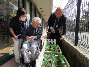 業務部樋口の園芸日誌 写真