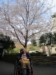 「桜満開！！」 写真