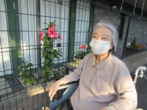 秋の逍遥～その1～ 写真