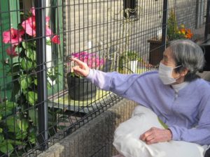 秋の逍遥～その2～ 写真