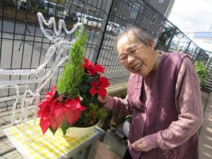 業務部樋口の園芸日誌～もうすぐクリスマス編～ 写真