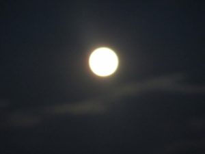 鶴瓶落とし 写真