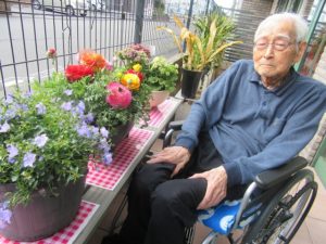 業務部樋口の園芸日誌～小春日和のティータイム編～ 写真