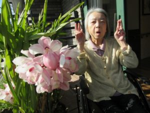 業務部樋口の園芸日誌～花盛り編 写真