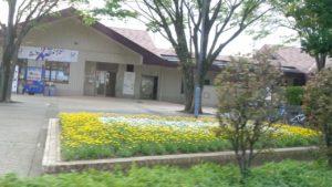 遊びり・ドライブ 写真