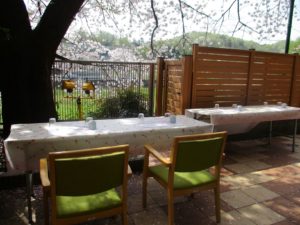 遊びり・テラスランチ 写真