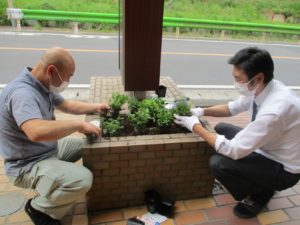 八王子西園芸部 写真