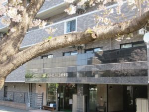 桜祭り＜前日＞ 写真