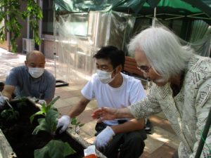 園芸部～テラス編～ 写真