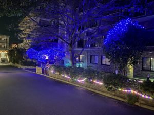 『☆イルミネーション　点灯☆』 写真