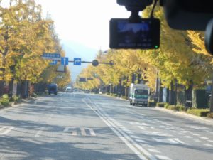 『遊びり・紅葉ドライブ』 写真