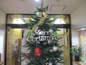 クリスマスツリー🎄 写真