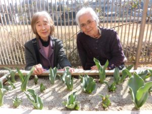 園芸部🌷 写真