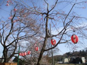 🌺春の陽気🌺 写真