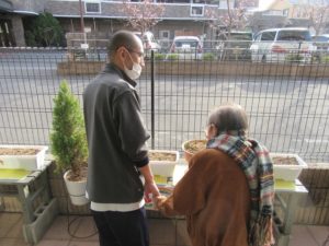 業務部樋口の園芸日誌 写真