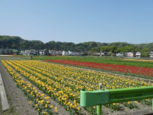 『遊びり・ドライブ』 写真