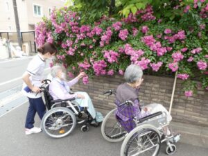 『遊びり・お散歩クラブ』 写真