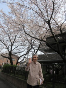 午後のひと時、桜と記念撮影 写真